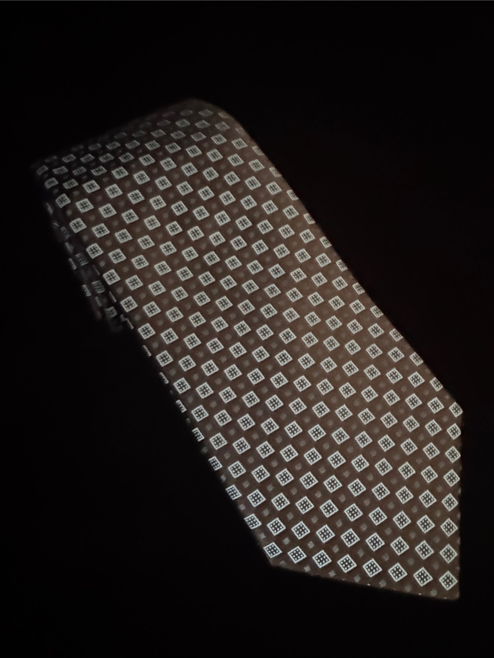 CANALI Silk Tie